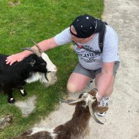 Michael Allen (@michaelallenesq) 's Twitter Profile