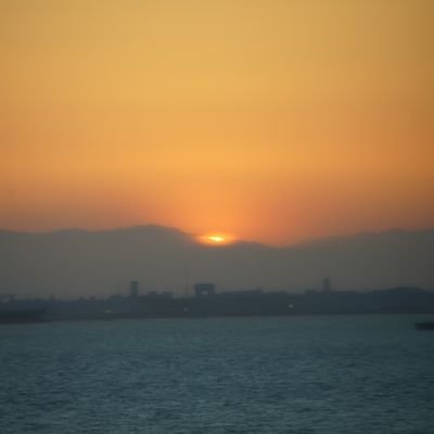 testas163121's profile picture. エアドロハンター since2024