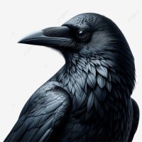 Birds Lovers(@owl_gangs) 's Twitter Profile Photo
