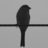 pedrocs79's profile image
