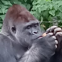 pitano: (@min_anko38) 's Twitter Profile