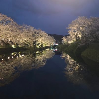 masa_8000008's profile picture. 