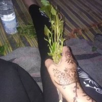 زينب محمد علي (@mhmdzynb11783) Twitter profile photo