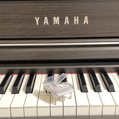 ピアノ弾きます♪ピアノ/三線/アコギ/クラシック/ショパン/ブラームス/シューベルト/ドビュッシー/ラヴェル/スピッツ/あいみょん/aiko/Mr.Children/カラオケ/弾き語り/宝塚/四季/食べること飲むこと/スノーボード/読書/音ゲー/太鼓の達人/プロセカ/ぷよテト/けん玉