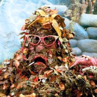 luna moth (@lilyjunipr) 's Twitter Profile