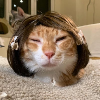 froglov3r's profile picture. 🇵🇸 | squirrel girl