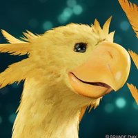 ちょこぼ (@v3z0ejnxwg7wief) 's Twitter Profile