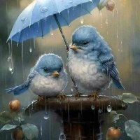 ❤شروح❤الروح❤ (@shrwh12) 's Twitter Profile