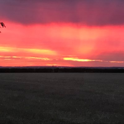 SbanksPlumbing's profile picture. 