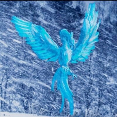 ArcticPhoenixYT's profile picture. 22 y/o streamer 
tiktok- Arcticphoenixyt
Youtube- ArcticPhoenix
Twitch- I forgot but it's on my yt