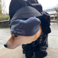 zincent (@baghodlerrr) 's Twitter Profile Photo zincent (@baghodlerrr) 's Twitter Profile Photo