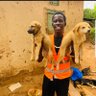 suubipatricks2's profile picture. Not only Humans deserves to be helped but also dogs and animals🐕 .Dogs don't speak but they are a symbol of love 
🇺🇬🇺🇬