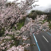 ムム (@injs1j6m7tyw4wc) 's Twitter Profile
