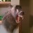 drizzle612's profile image