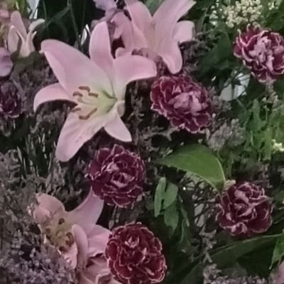 声のお仕事をしている方が好きです
詳しくはツイフィ