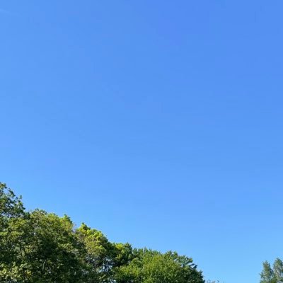 abcc_____abc's profile picture. 