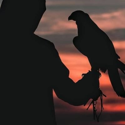 ibrahim206640's profile picture. تجري الرياحُ بما شاء الإله لها ،،،،
 لله نحن وموج البحر والسفنُ.