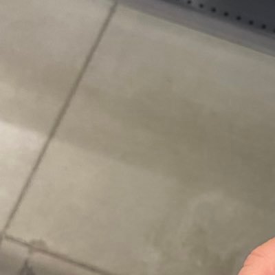 paleblueee's profile picture. iskreno ne znam kj teram