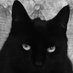Morfudd Bevan (@morfuddbevan) Twitter profile photo Morfudd Bevan (@morfuddbevan) Twitter profile photo