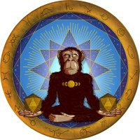 MeditatingMunky (@meditatingmunky) 's Twitter Profile Photo MeditatingMunky (@meditatingmunky) 's Twitter Profile Photo