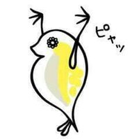 鳥 (@gavinjohnny11) 's Twitter Profile