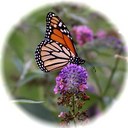 Cheryl Pugh - @CherylPugh - Twitter