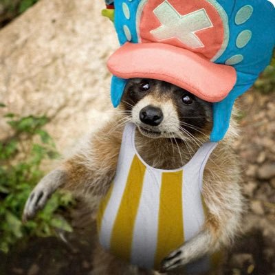 Tonyzhop's profile picture. Choppers lost brother   ”I'm a raccoon not a reindeer!”