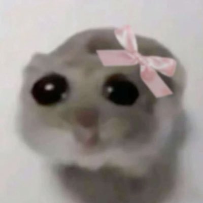 canctzn's profile picture. 