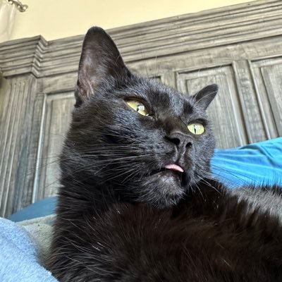 RareJordan_'s profile picture. just here for the tea 👀