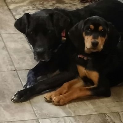 Notimefor277132's profile picture. Former acc @olaleyeolamide5
|#TeamSo_flyboi|#AFC