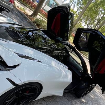 quatreZC's profile picture. Official Derror Studios Development Account