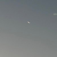 🥱 (@shaywaklu) 's Twitter Profile