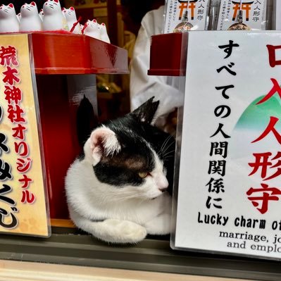 japanguide_miki's profile picture. 英語ガイド/ 宇宙や意識の話が大好き/ 抹茶lover / ご朱印帳担当の元巫女 /日本文化と国際交流が大すき🍵/ 日本の美しい風景ありがたや🙏