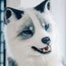 ナッツ(Nuts)🔩 (@2ndnutsfox) Twitter profile photo ナッツ(Nuts)🔩 (@2ndnutsfox) Twitter profile photo