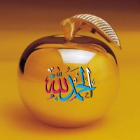 Aboalhasan2024 (@aboalhasan92657) 's Twitter Profile