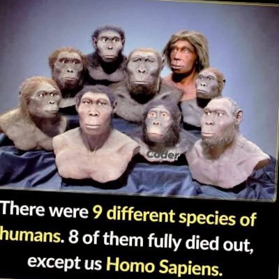 MrC_E_Okonkwo's profile picture. 