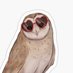 Barnyard owls (@barnyardowl122) Twitter profile photo Barnyard owls (@barnyardowl122) Twitter profile photo