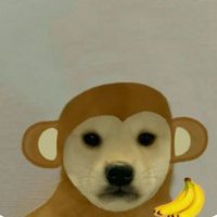 Monki WIF Banana (@monki_wif) 's Twitter Profile