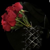 mimee mimee (@mimeemimee76711) 's Twitter Profile