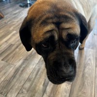 Peter Canzoneri (@pcanz2426) 's Twitter Profile Photo