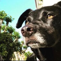 A_ze_karakola (@a_ze_karakola) 's Twitter Profile