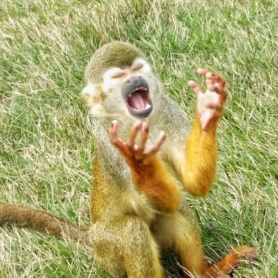 octさんのプロフィール画像