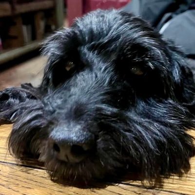 Benb111's profile picture. dadhusbandsonbrotherunclefriend