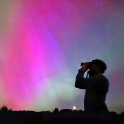 HCBirding's profile picture. Over on Bluesky these days