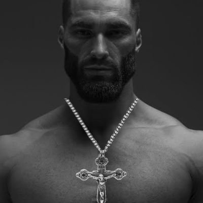 vir_destinatus's profile picture. Ignāvī saepe mōritur, fortis semel.