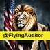 Flying Auditor