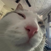 RyRy :3 (@grrrrrryan) 's Twitter Profile Photo RyRy :3 (@grrrrrryan) 's Twitter Profile Photo