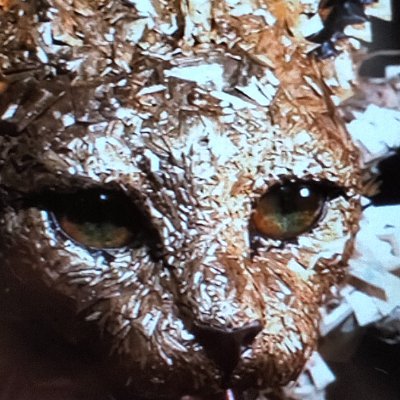 pocxha's profile picture. Pengen baca au tapi pas buka link malah accountnya suspended, dihapus, atau private 😞

GOAL: cari au kambe kageyama walau banyak yg udh hilang.