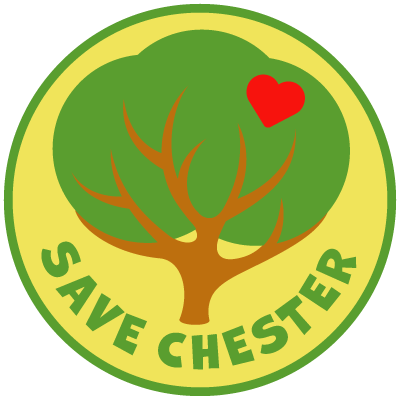SaveChesterSouthend Profile