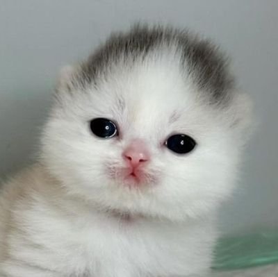 ★ KP ★ | VGenさんのプロフィール画像